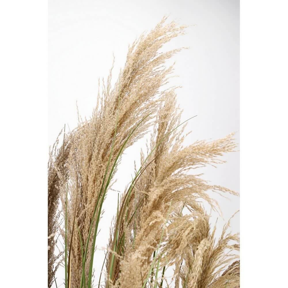 Pianta di Erba Pampas Artificiale in Vaso Altezza 180 cm - AUSTORDERIA