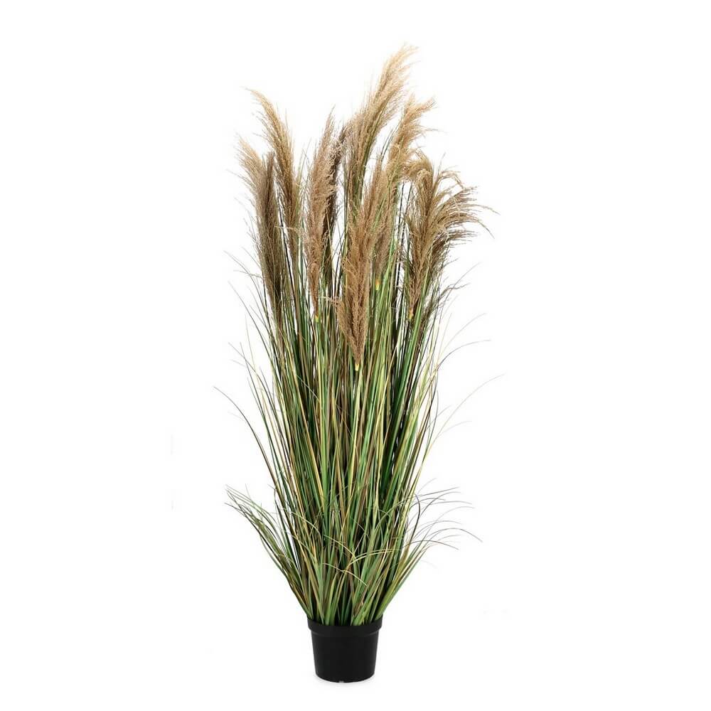 Pianta di Erba Pampas Artificiale in Vaso Altezza 180 cm - AUSTORDERIA