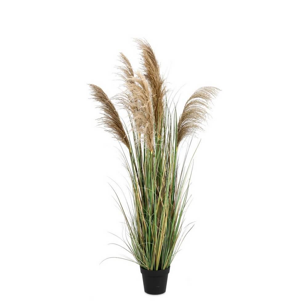 Set di 2 Piante Artificiali Erba della Pampa con Vaso Altezza 170 cm - AUSTORDERIA