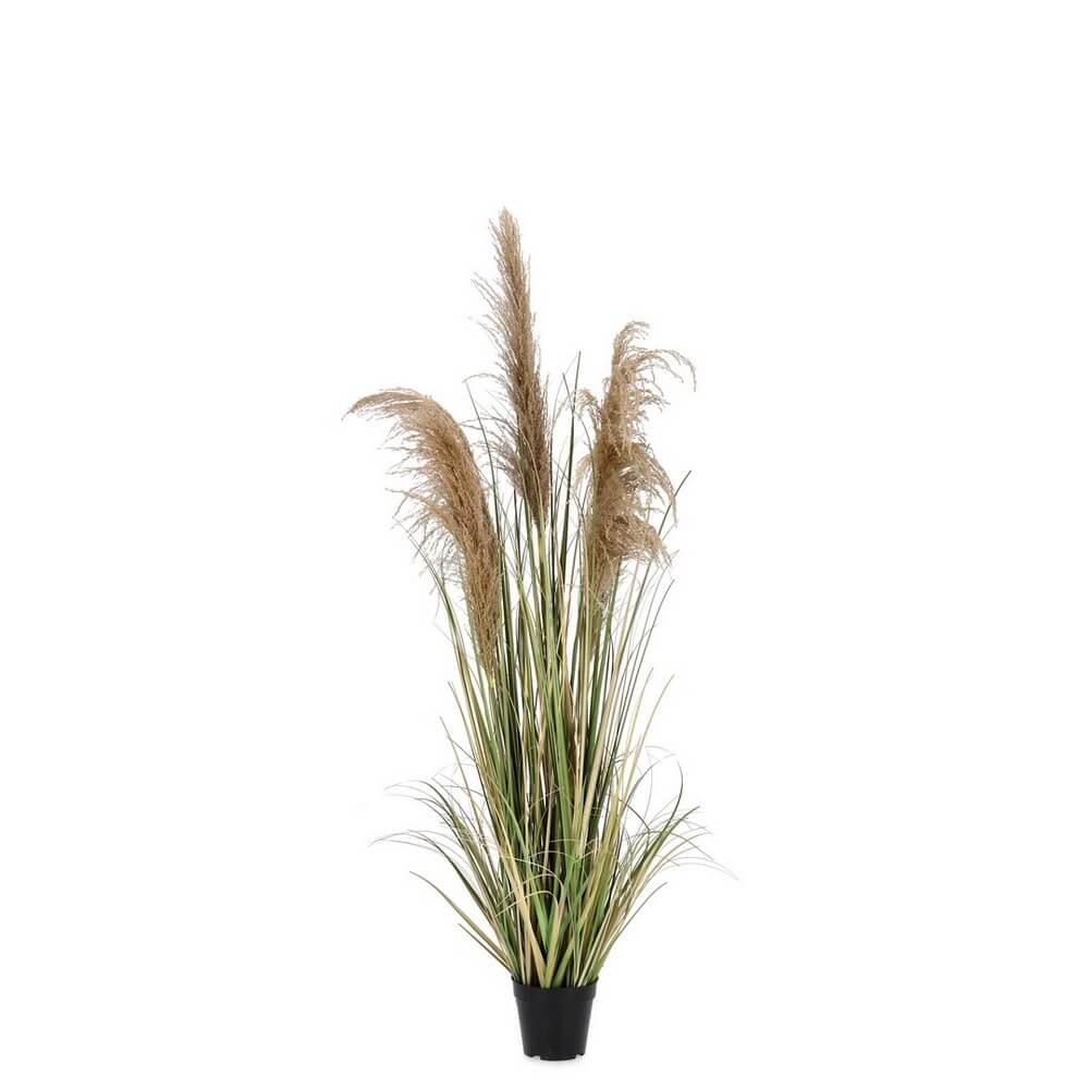 Set di 2 Piante Artificiali Erba della Pampa con Vaso H145 cm - AUSTORDERIA