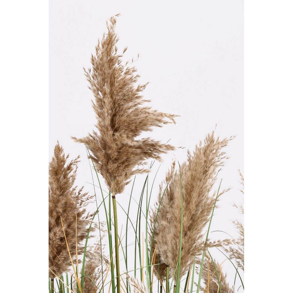 Pianta artificiale erba della pampa con vaso altezza 150 cm - GYNERIUM