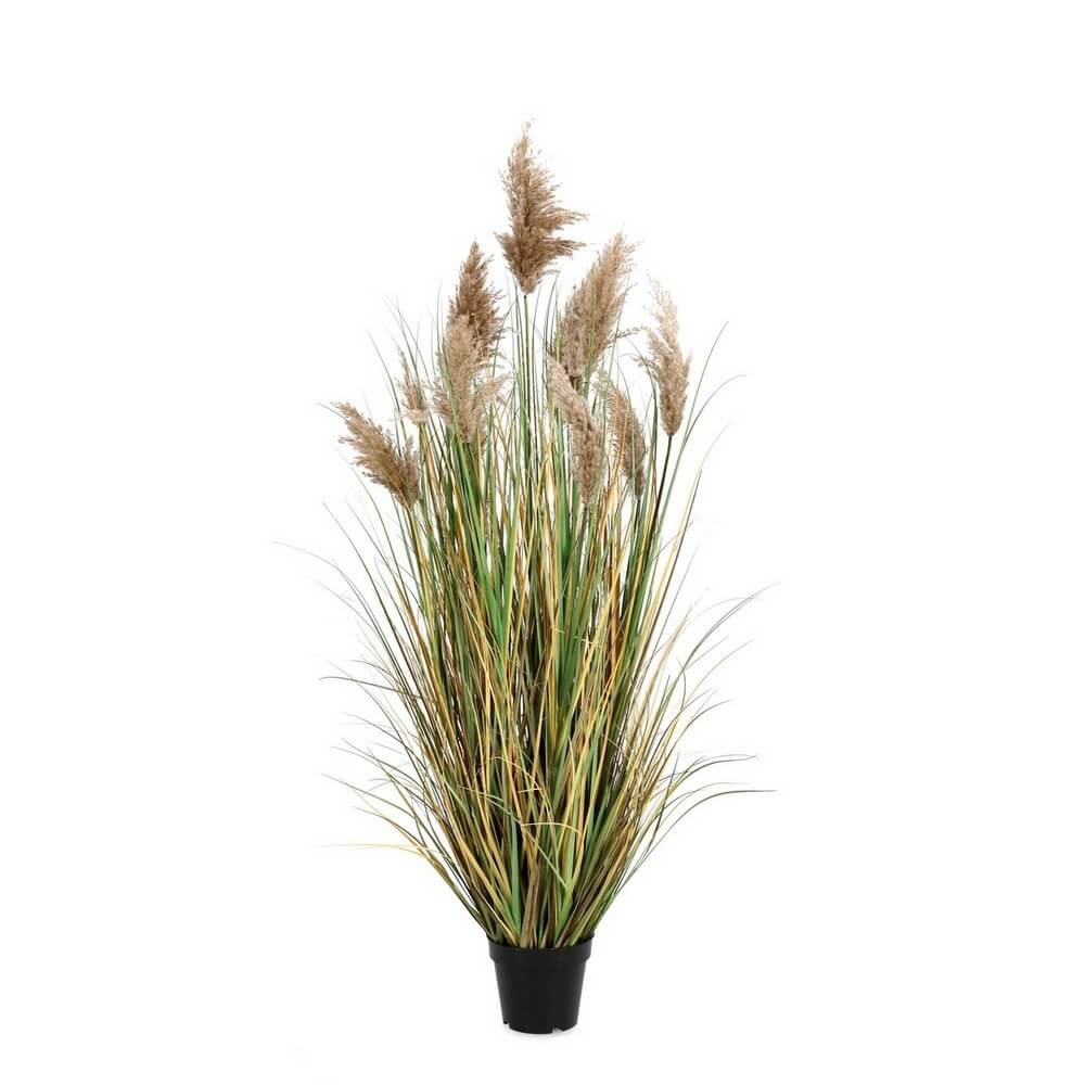 Pianta artificiale erba della pampa con vaso altezza 150 cm - GYNERIUM