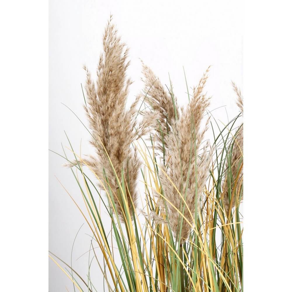 Set di 2 Piante Artificiali Erba della Pampa con Vaso Altezza 120 cm - GYNERIUM
