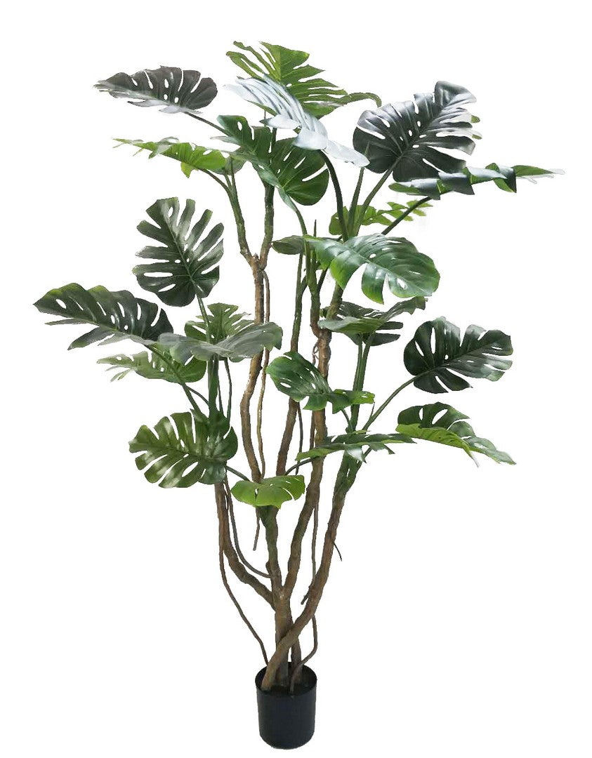 Set di 2 Piante Monstera Artificiali con Vaso Altezza 210 cm - MONSTERA