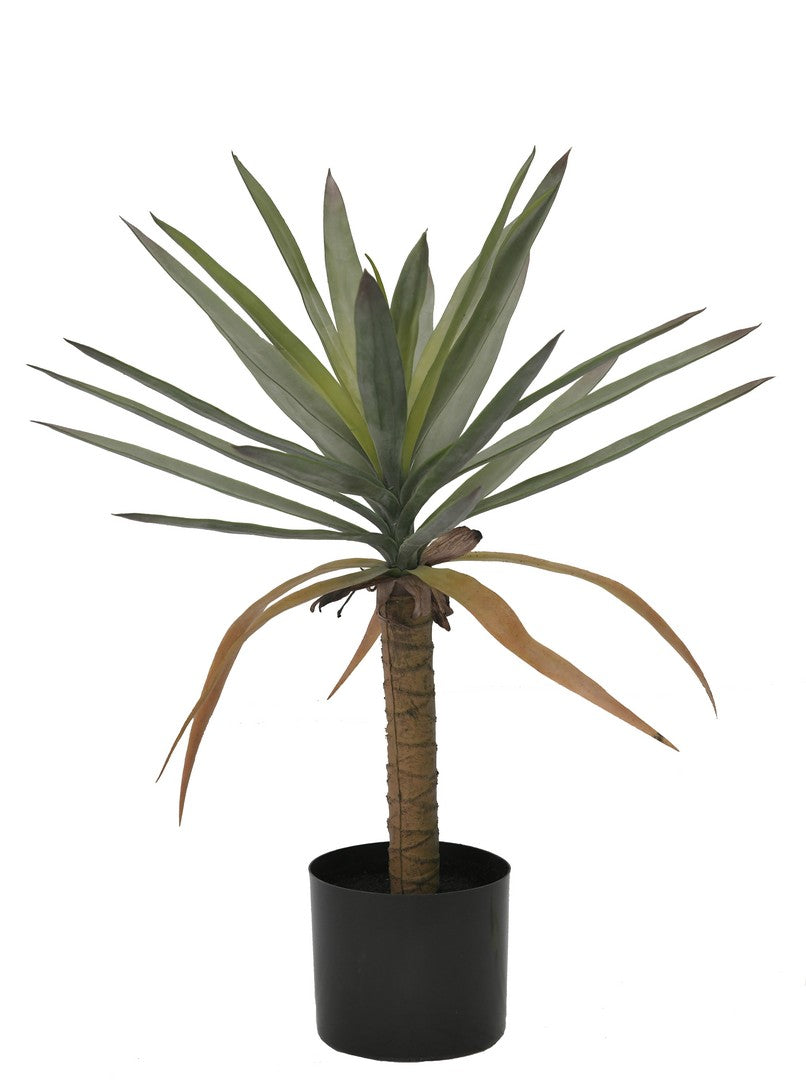 Set di 4 Piante Dracaena Artificiali con Vaso Altezza 62 cm - DRACAENA