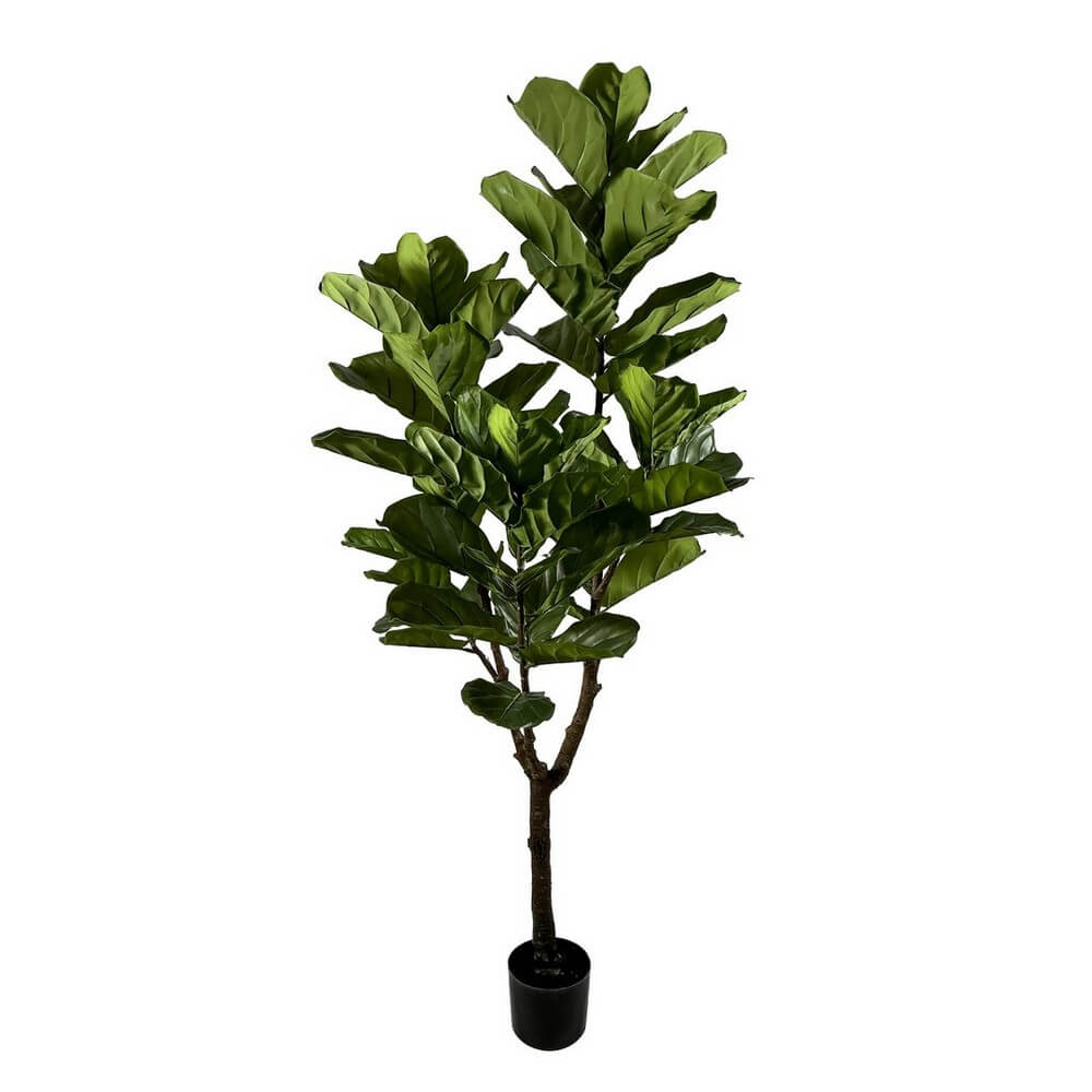 Set di 2 Ficus Lyrata Artificiale con Vaso 60 Foglie H180 cm - FICUS