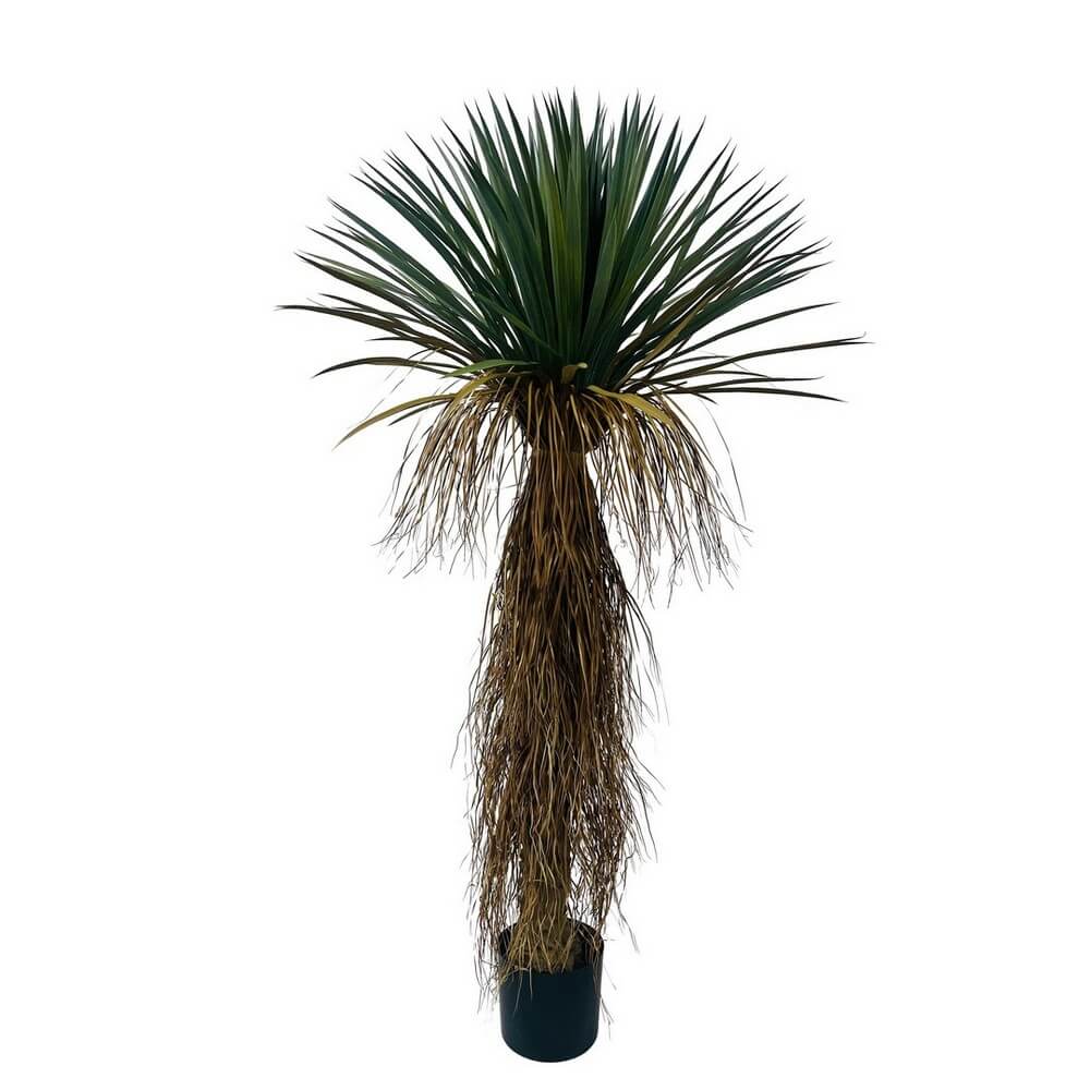 Pianta Artificiale Yucca Rostrata con Vaso Altezza 150 cm - YUKKA