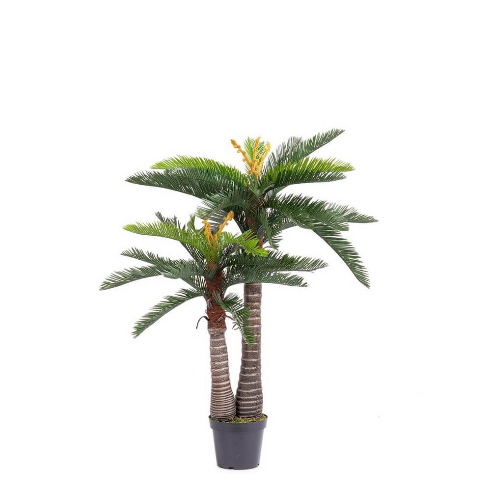 Set di 2 Palme Cycas Artificiali con Vaso 36 Foglie H150 cm UV - PALMA