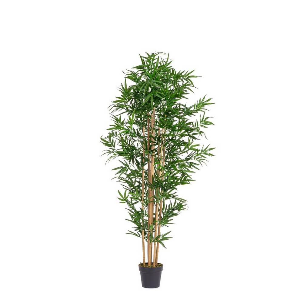 Set di 2 Piante di Bambù Artificiali con Vaso Protezione UV H185 - BAMBOO