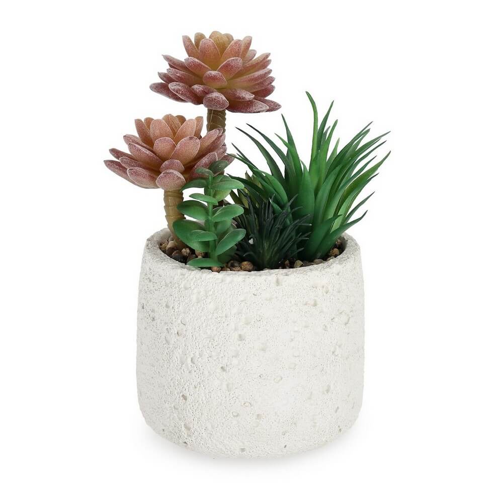 Composizione di Piante Artificiali Succulente in Vaso di Cemento - PIANTINA
