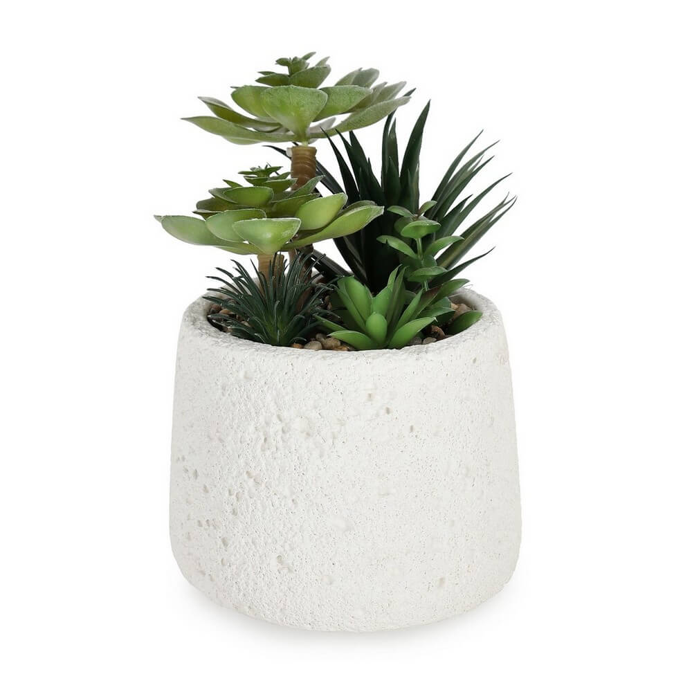 Piante Grasse Artificiali in Vaso di Cemento Bianco - PIANTINA