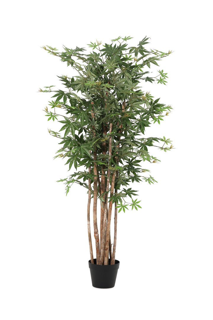 Set di 4 Piante Artificiali Acero Palmato con Vaso Altezza 140 cm - ACERO