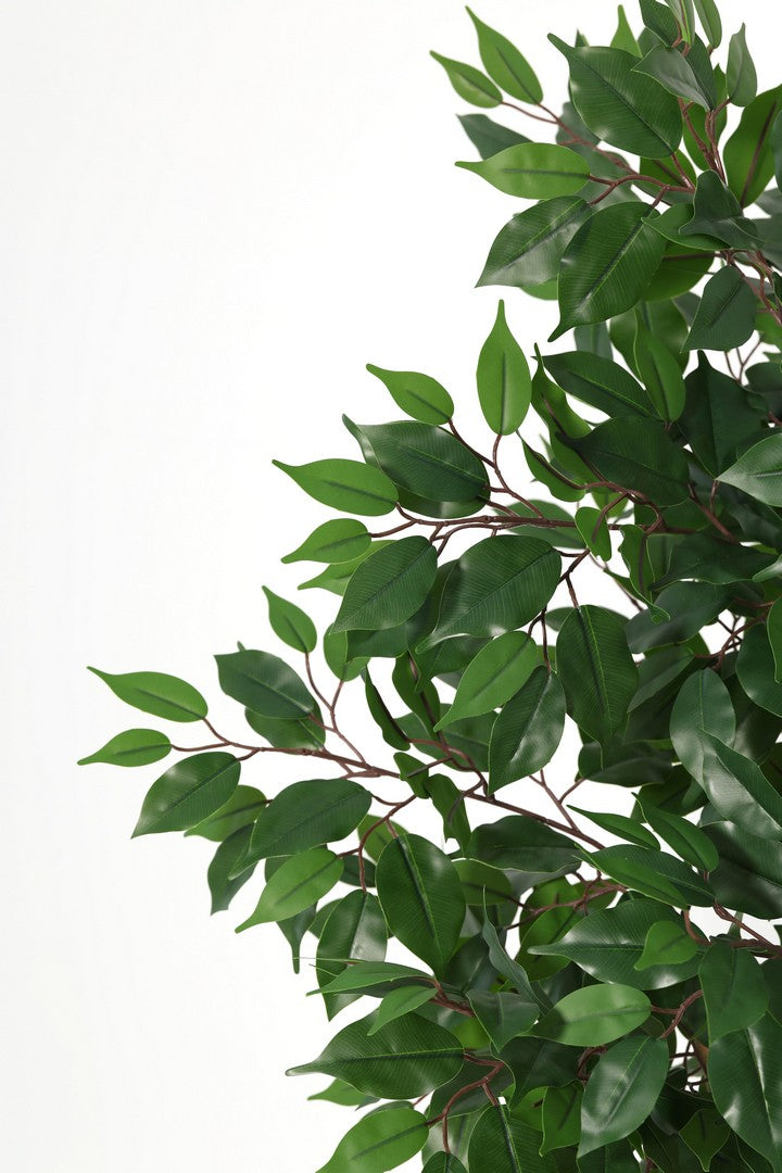 Set di 4 Piante Ficus Artificiali con Vaso Altezza 145 cm - FICUS