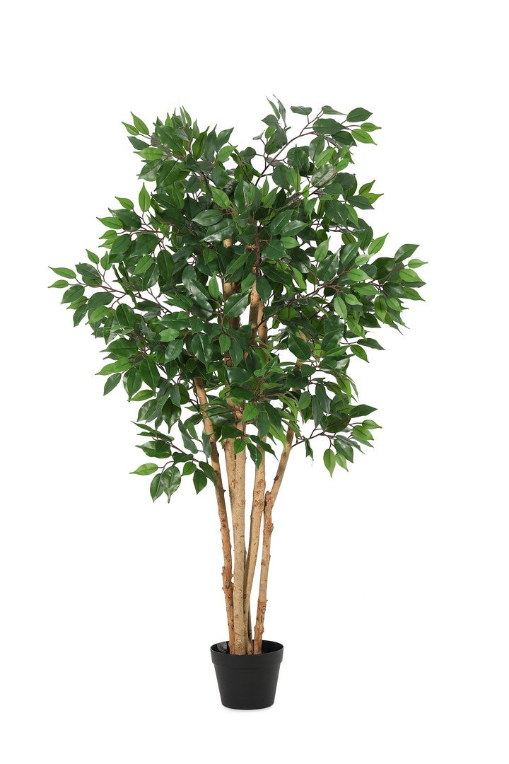 Set di 4 Piante Ficus Artificiali con Vaso Altezza 145 cm - FICUS