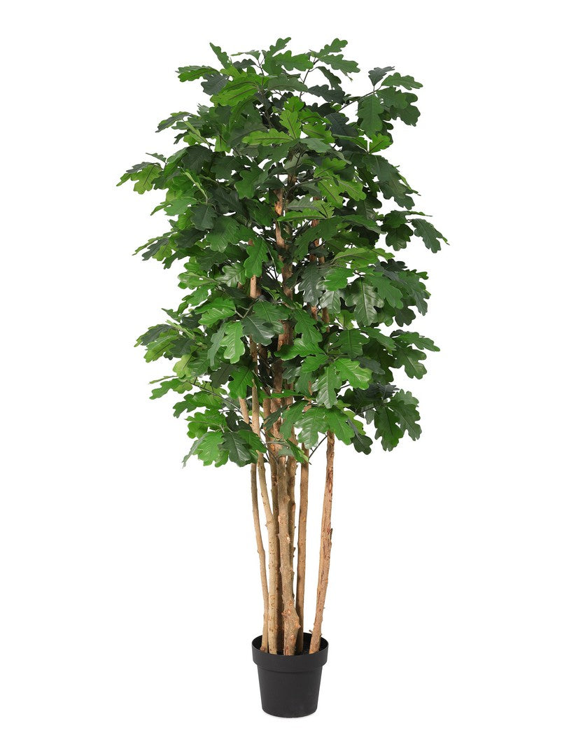 Set di 2 Piante Artificiali Quercia con Vaso Altezza 170 cm - QUERCIA