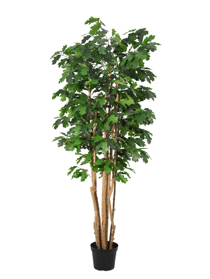 Set di 2 Piante Quercia Artificiali con Vaso Altezza 210 cm - QUERCIA