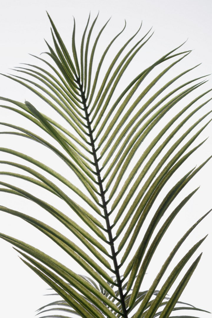 Pianta di Kenzia Artificiale con Vaso 27 Foglie 180 cm - KENZIA