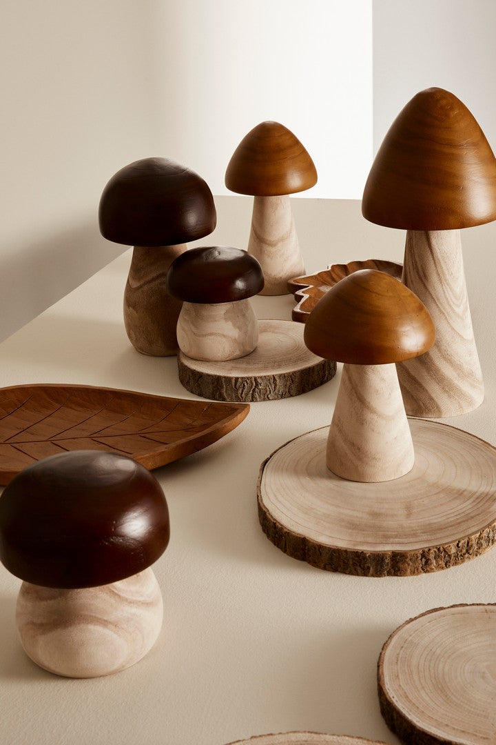 Set di 4 Funghi Decorativi in Legno di Paulonia Alti - DERIK