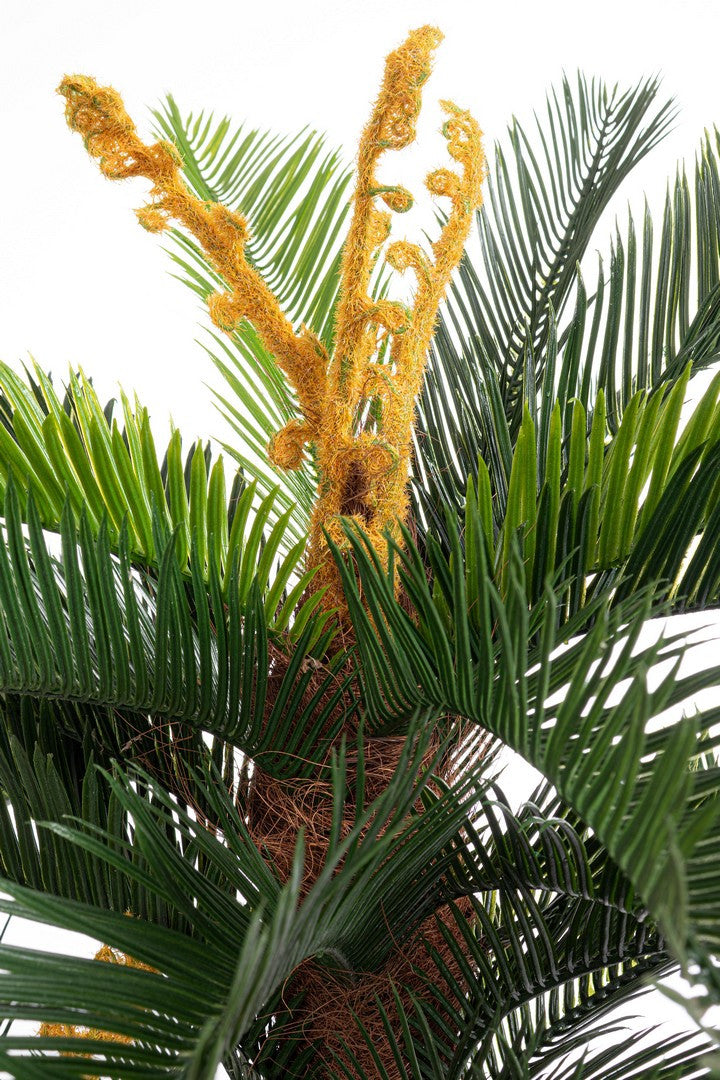 Set di 2 Palme Cycas Artificiali in PE - PALMA