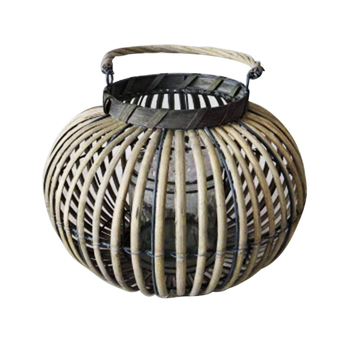 #colore_Grigio